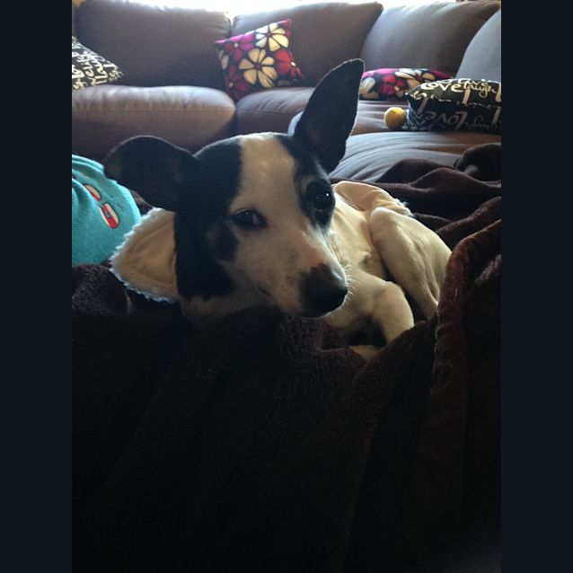 Photo of Jack
