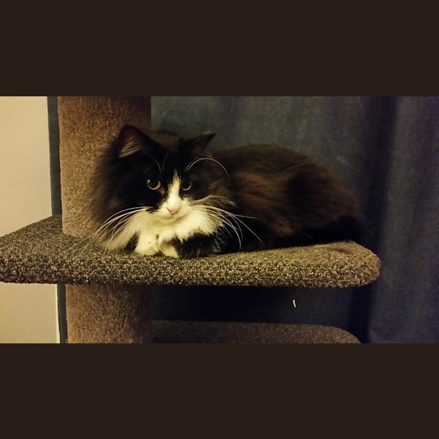 Photo of Mallory