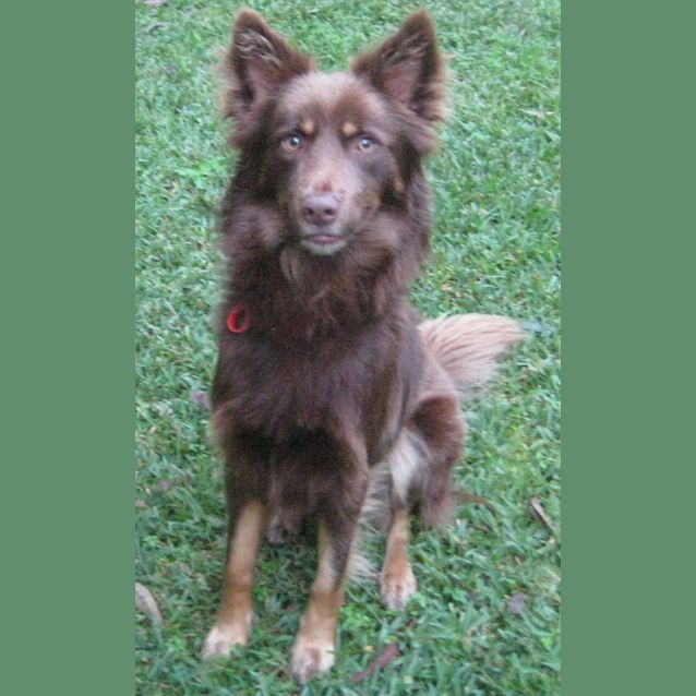 Photo of Jed