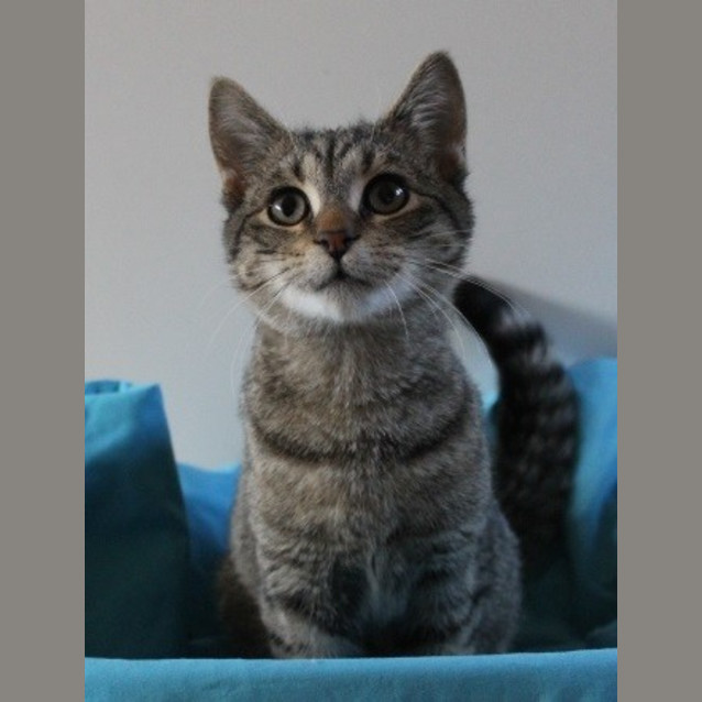 Photo of Cooper