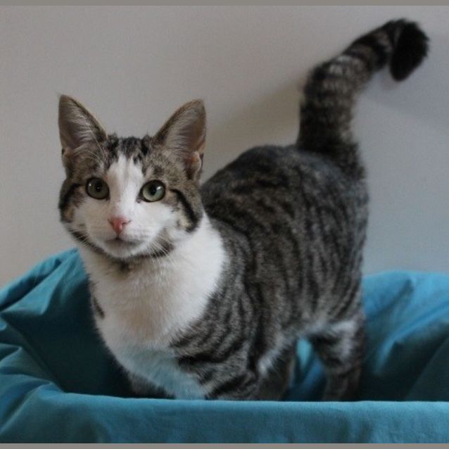 Photo of Hugo