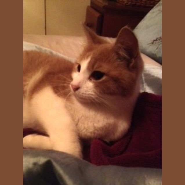 Photo of Cassie