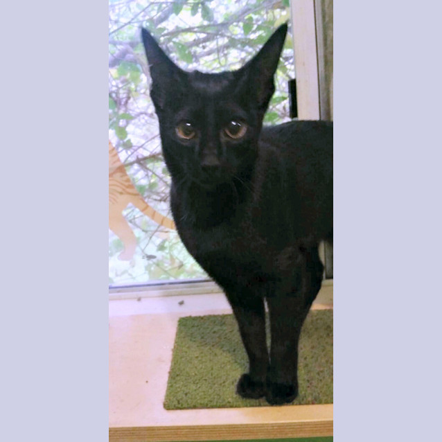 Photo of Ladybird   Special Needs