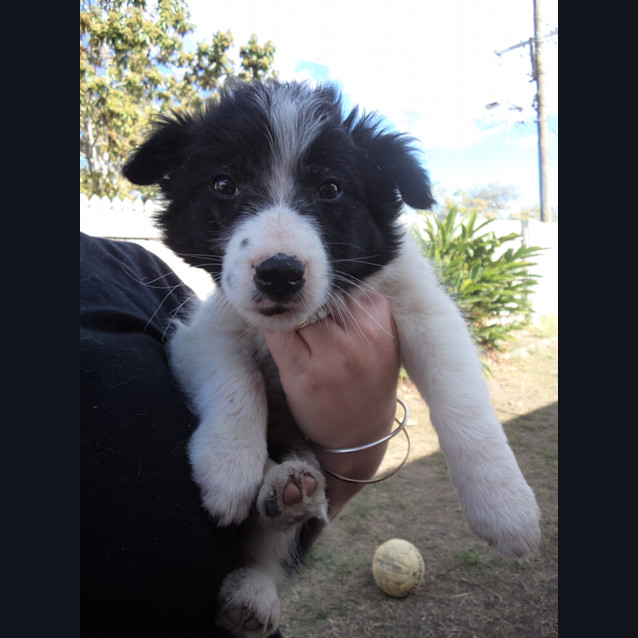 Photo of Molly 