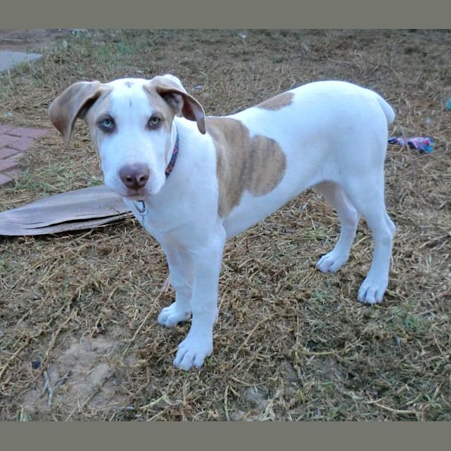Photo of Soly *On Trial In His New Home*