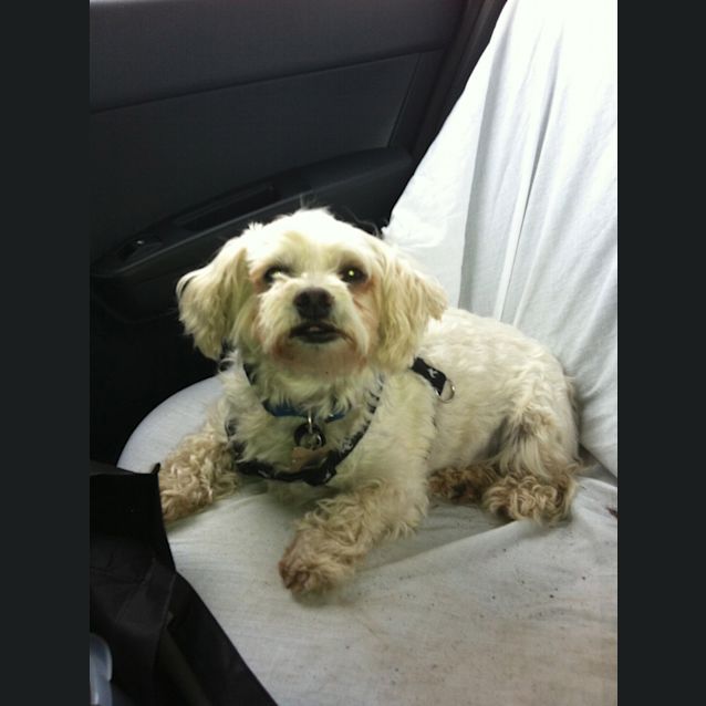 Photo of Max