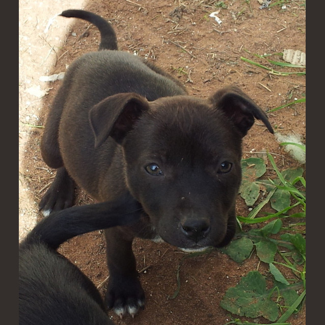 Photo of Storm