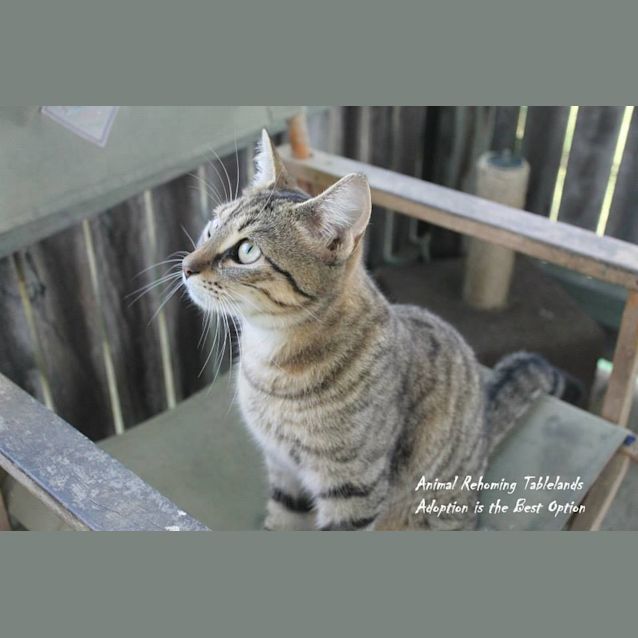 Photo of Molly