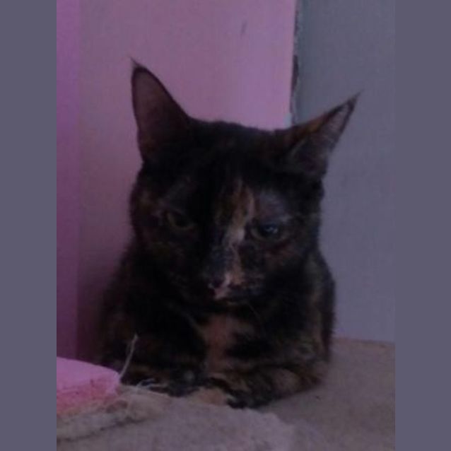 Photo of Agnes