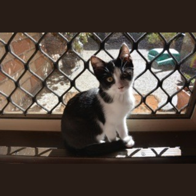 Photo of Sam