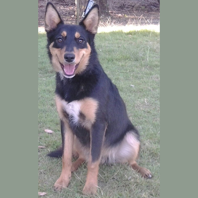 Photo of 091 3632 Jim