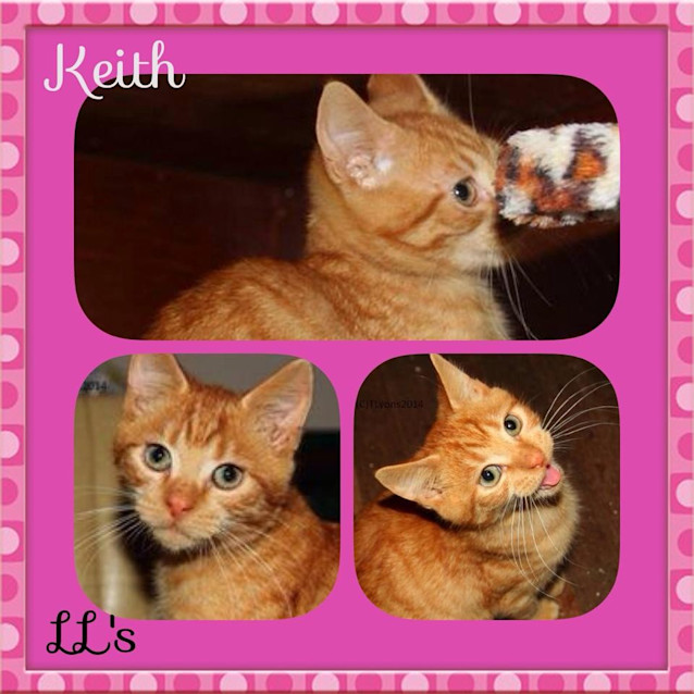 Photo of Keith