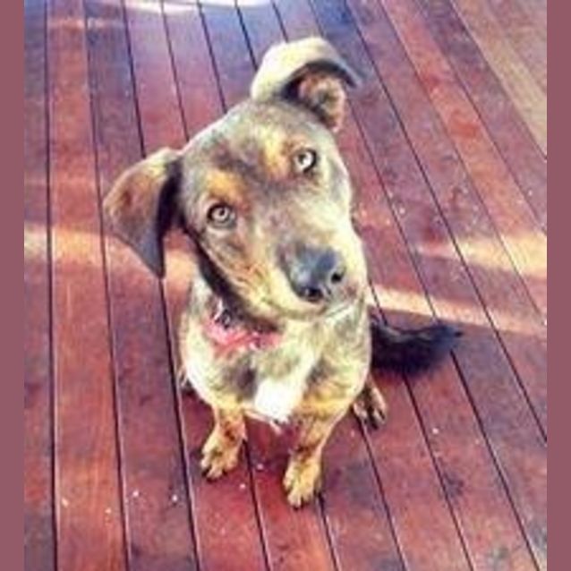 Photo of Captain