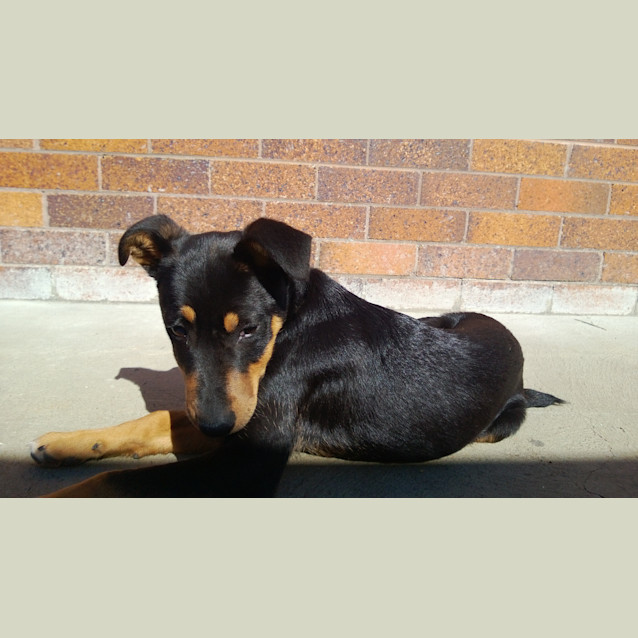 Photo of Regie (Ben)