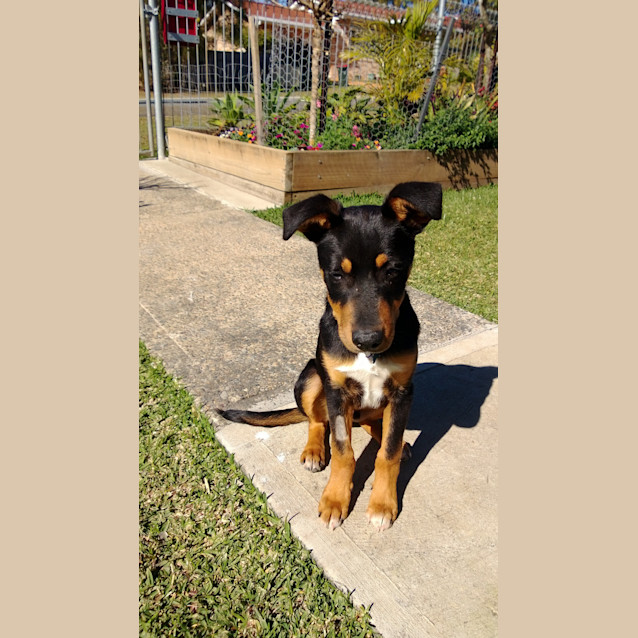 Photo of Regie (Ben)