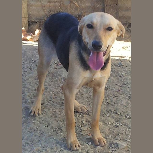 Photo of Annie