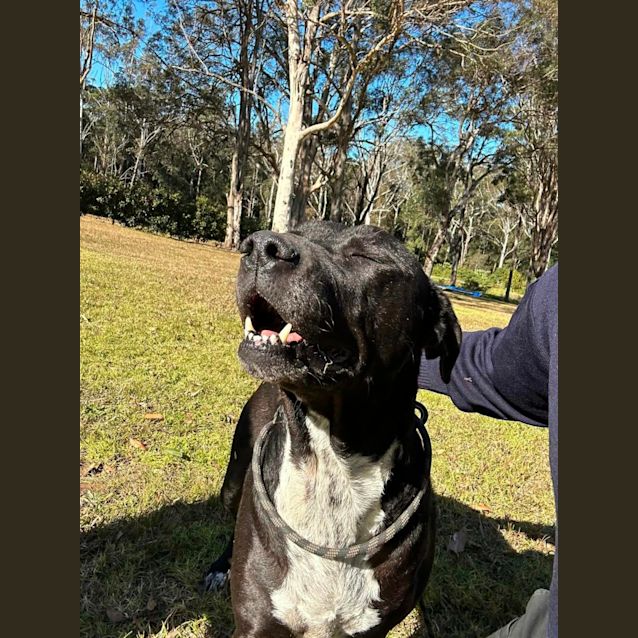 Photo of Belinda (Imp No. 2042)