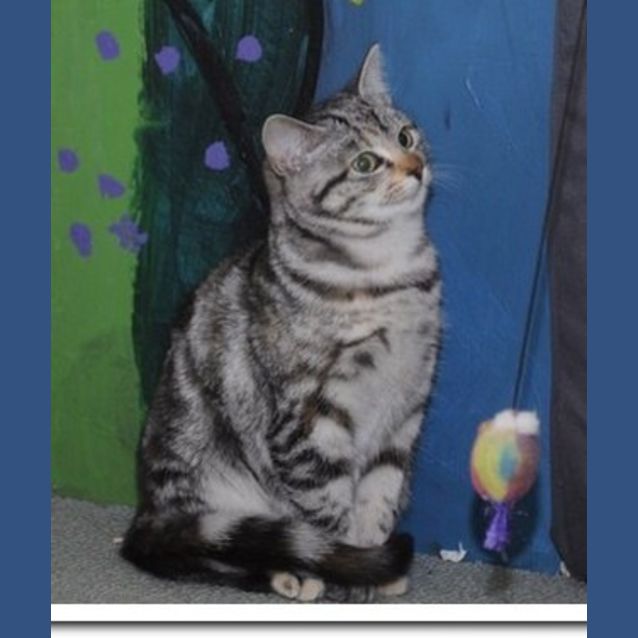 Photo of Pepper