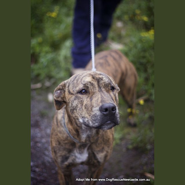 Photo of Ben (On Trial 9/10/14)