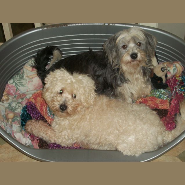 Photo of Brando And Asha (On Trial 14/9/14)