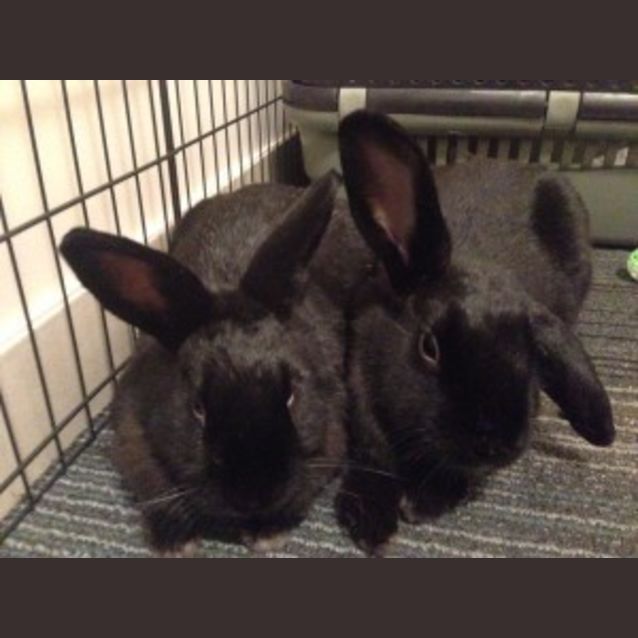 Photo of Letitia & Tyrone