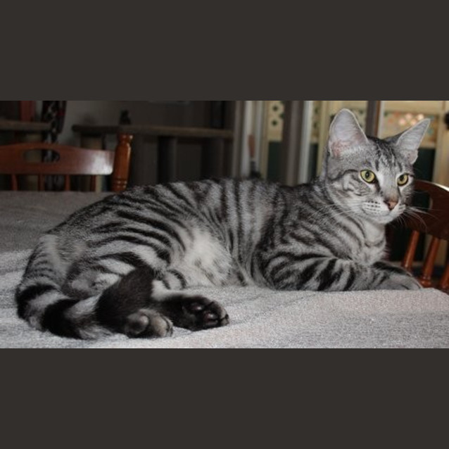 Photo of Billy