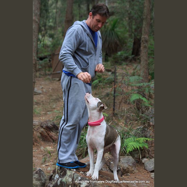 Photo of Alaska Moon (On Trial 5/8/14) ~ Special Needs ~