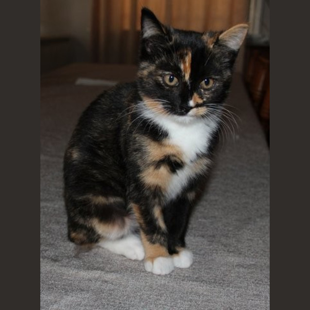Photo of Evie