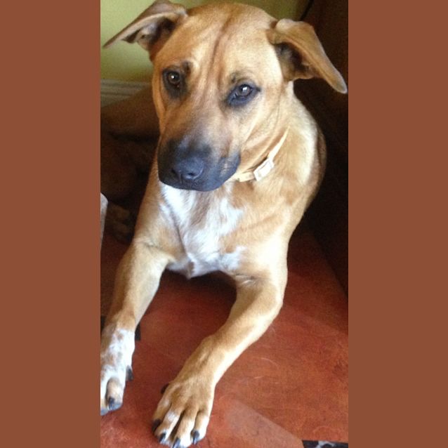 Photo of Holli