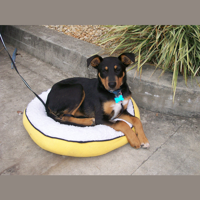 Photo of Regie (Ben)