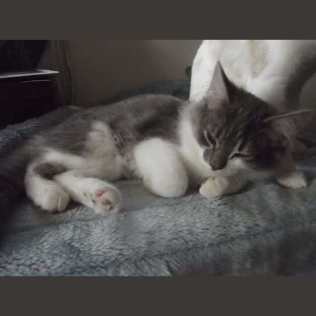 Photo of Stewie