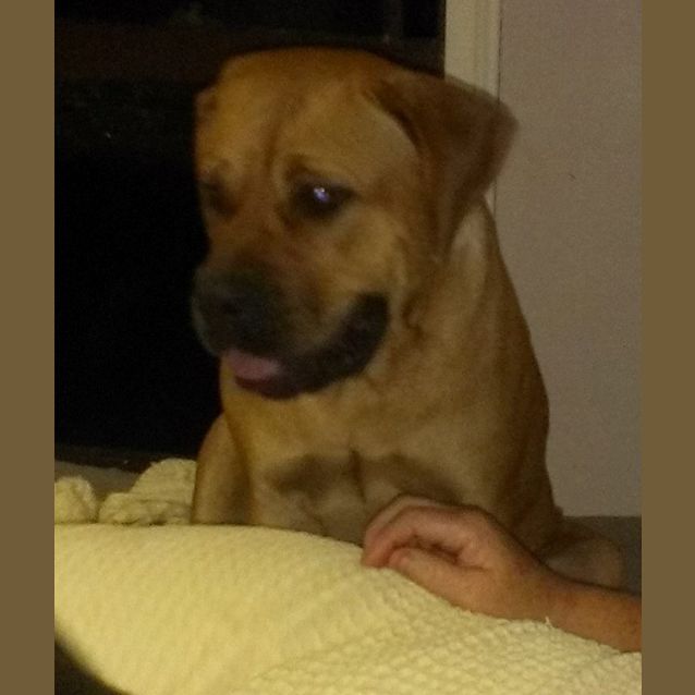 Photo of Ruby