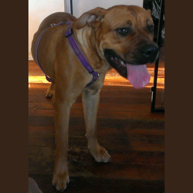 Photo of Ruby
