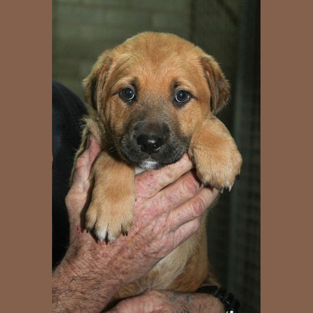 Photo of Rebel (D728)