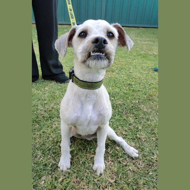 Photo of Douglas *On Trial In His New Home*