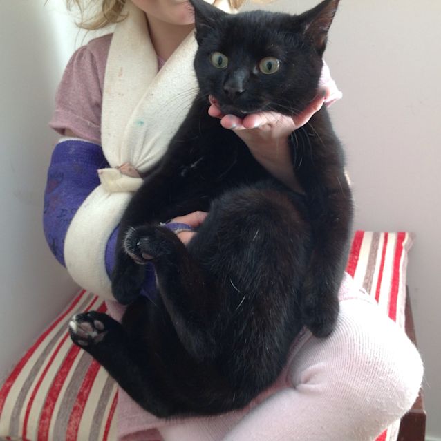Photo of Paige (The Pet House, Westfield Tuggerah)