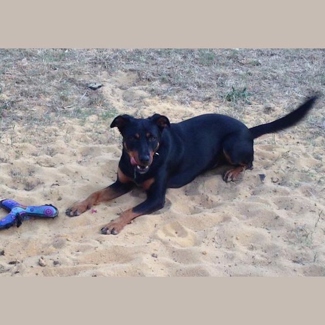 Photo of Max Dl087