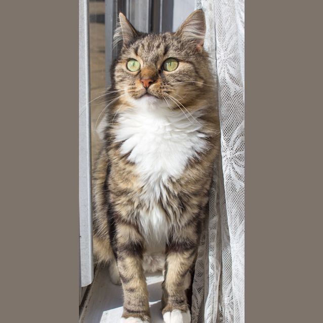 Photo of Gemma