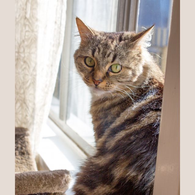 Photo of Gemma