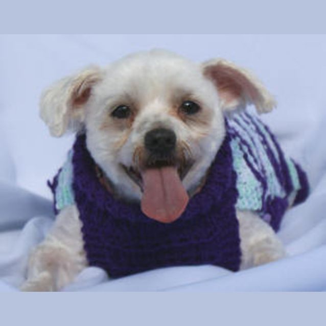 Photo of Chubby Checker