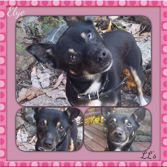 Photo of Elye