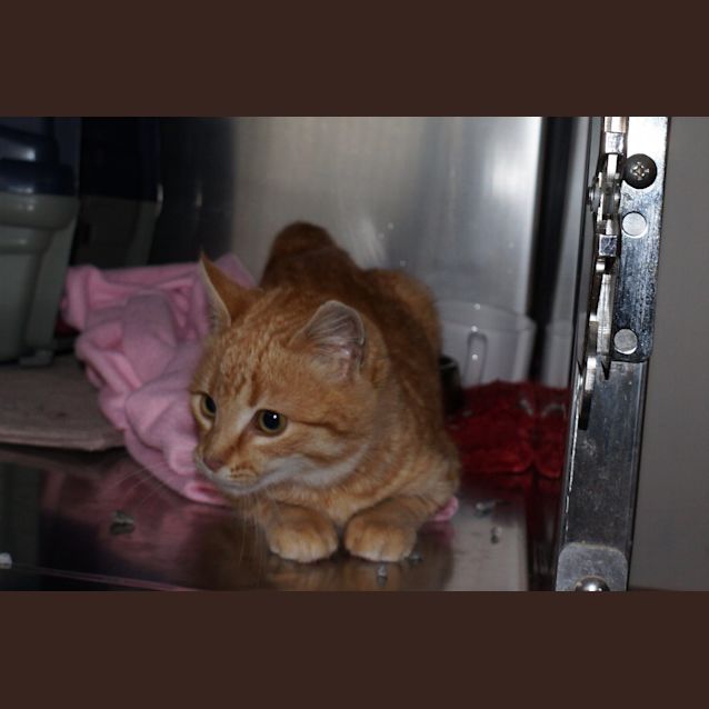 Photo of Bobby
