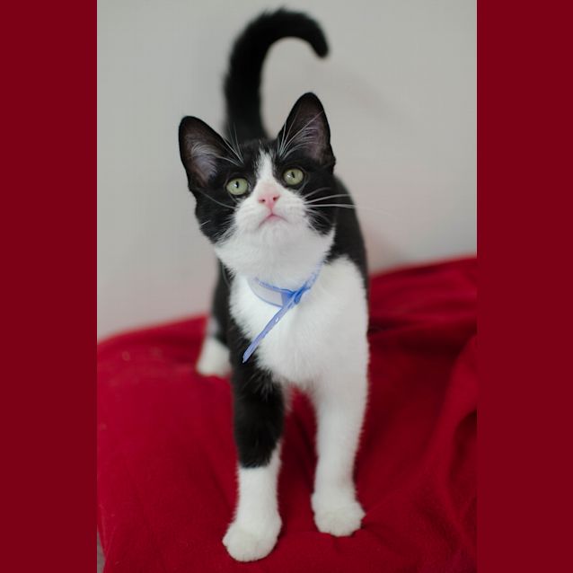 Photo of Lillian