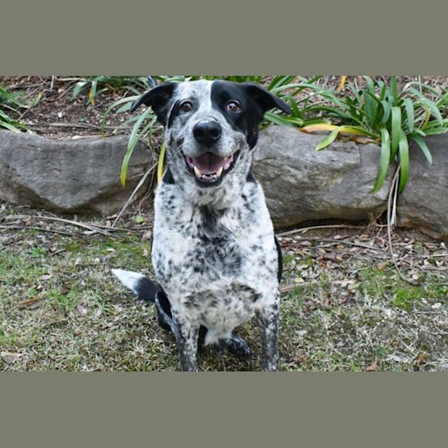 Photo of Patch 35253