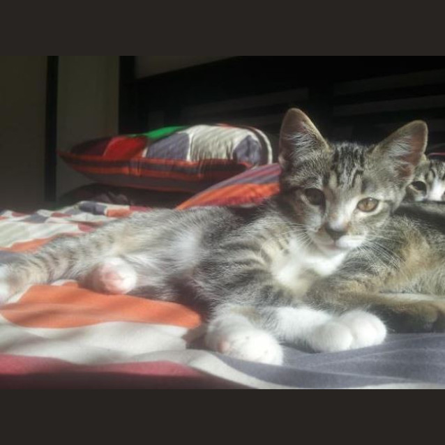 Photo of Sparkle
