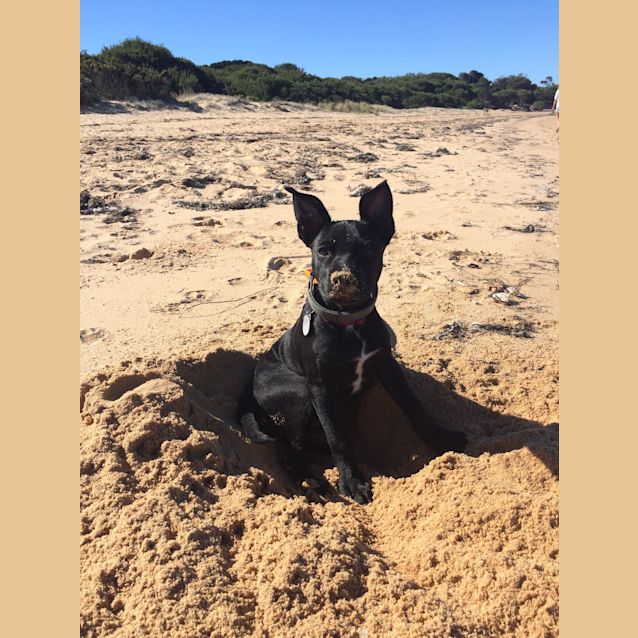 Photo of Lexie *On Trial*