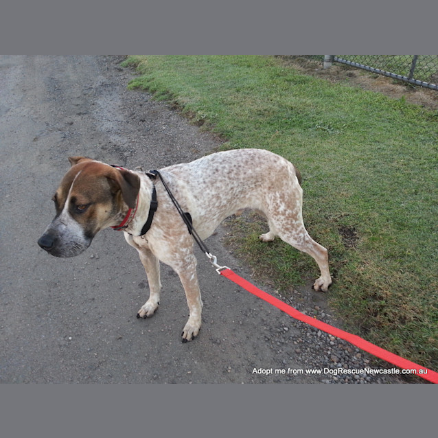 Photo of Jed (On Trial 6/9/14)