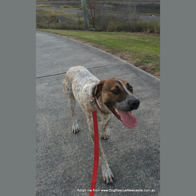 Photo of Jed (On Trial 6/9/14)