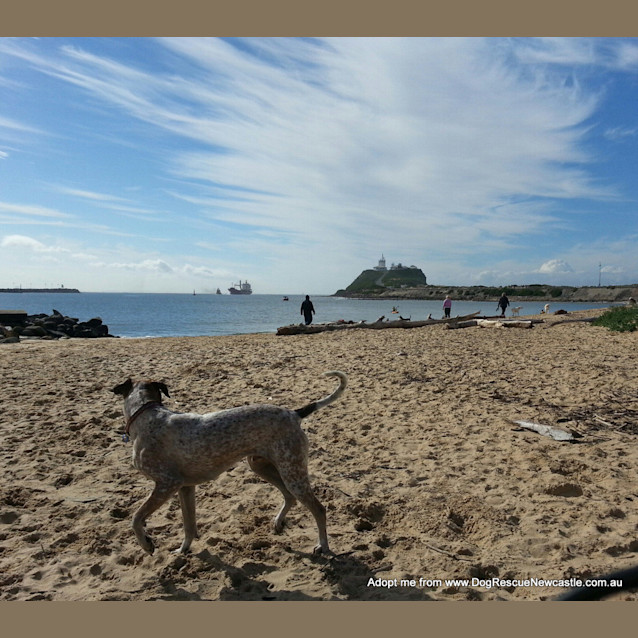 Photo of Jed (On Trial 6/9/14)