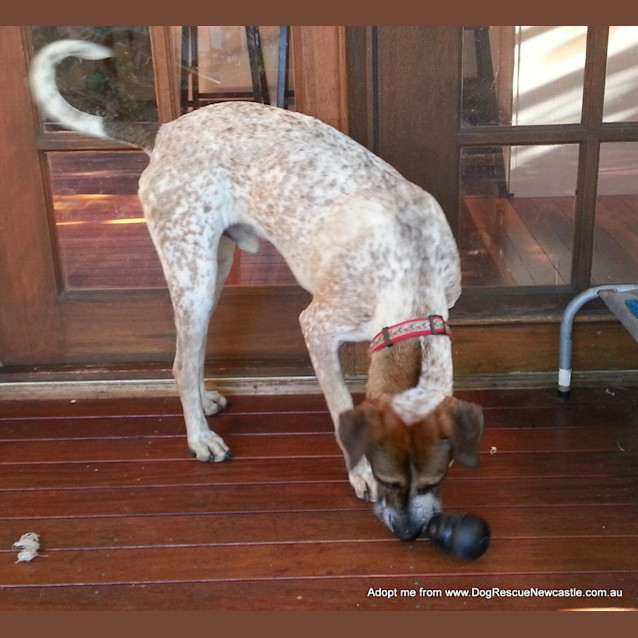 Photo of Jed (On Trial 6/9/14)